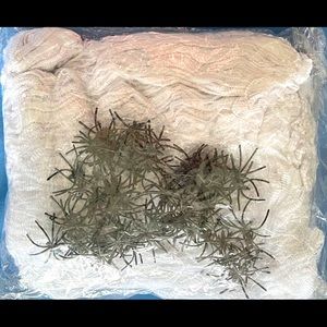 NEW Halloween Decor - Spider Web With Spiders